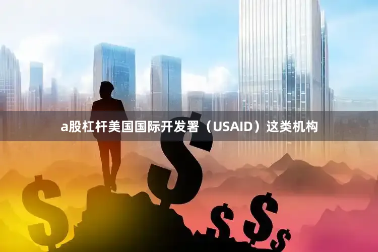 a股杠杆美国国际开发署（USAID）这类机构