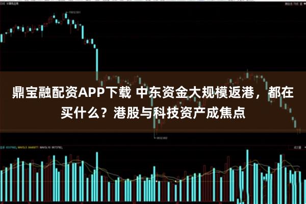 鼎宝融配资APP下载 中东资金大规模返港，都在买什么？港股与科技资产成焦点