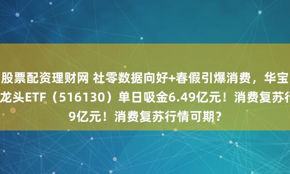 股票配资理财网 社零数据向好+春假引爆消费,华宝基金消费龙头ETF(516130)单日吸金6.49亿元!消费复苏行情可期?