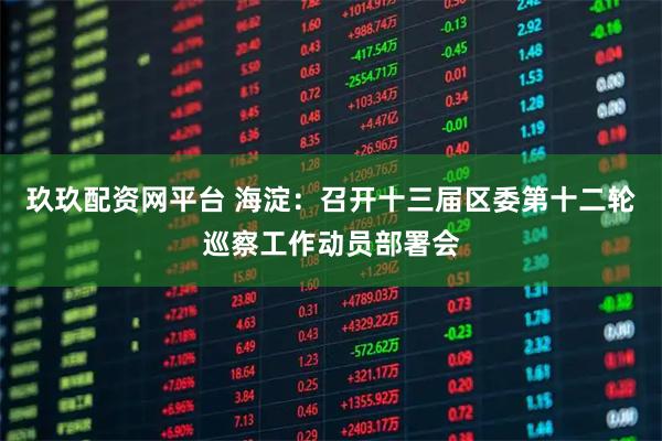 玖玖配资网平台 海淀:召开十三届区委第十二轮巡察工作动员部署会