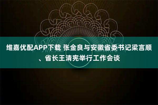 维嘉优配APP下载 张金良与安徽省委书记梁言顺、省长王清宪举行工作会谈