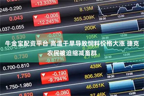牛金宝配资平台 高温干旱导致饲料价格大涨 捷克农民被迫缩减畜群